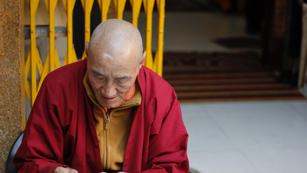 What is dhammapada buddhism?