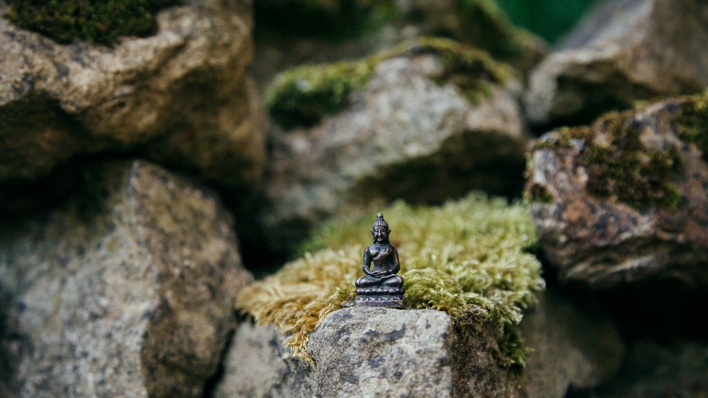 What does the term dharma mean in buddhism?